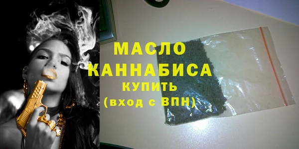 дмт Ельня