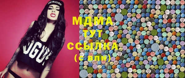 дмт Ельня