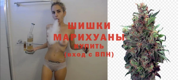 дмт Ельня