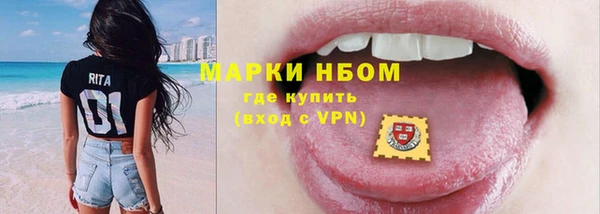 дмт Ельня