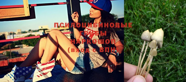дмт Ельня