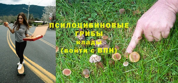 дмт Ельня