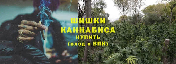 дмт Ельня