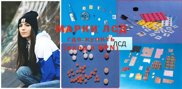 дмт Ельня