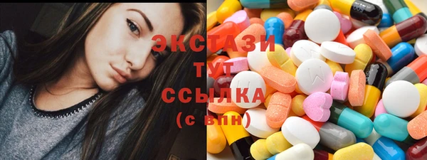 дмт Ельня
